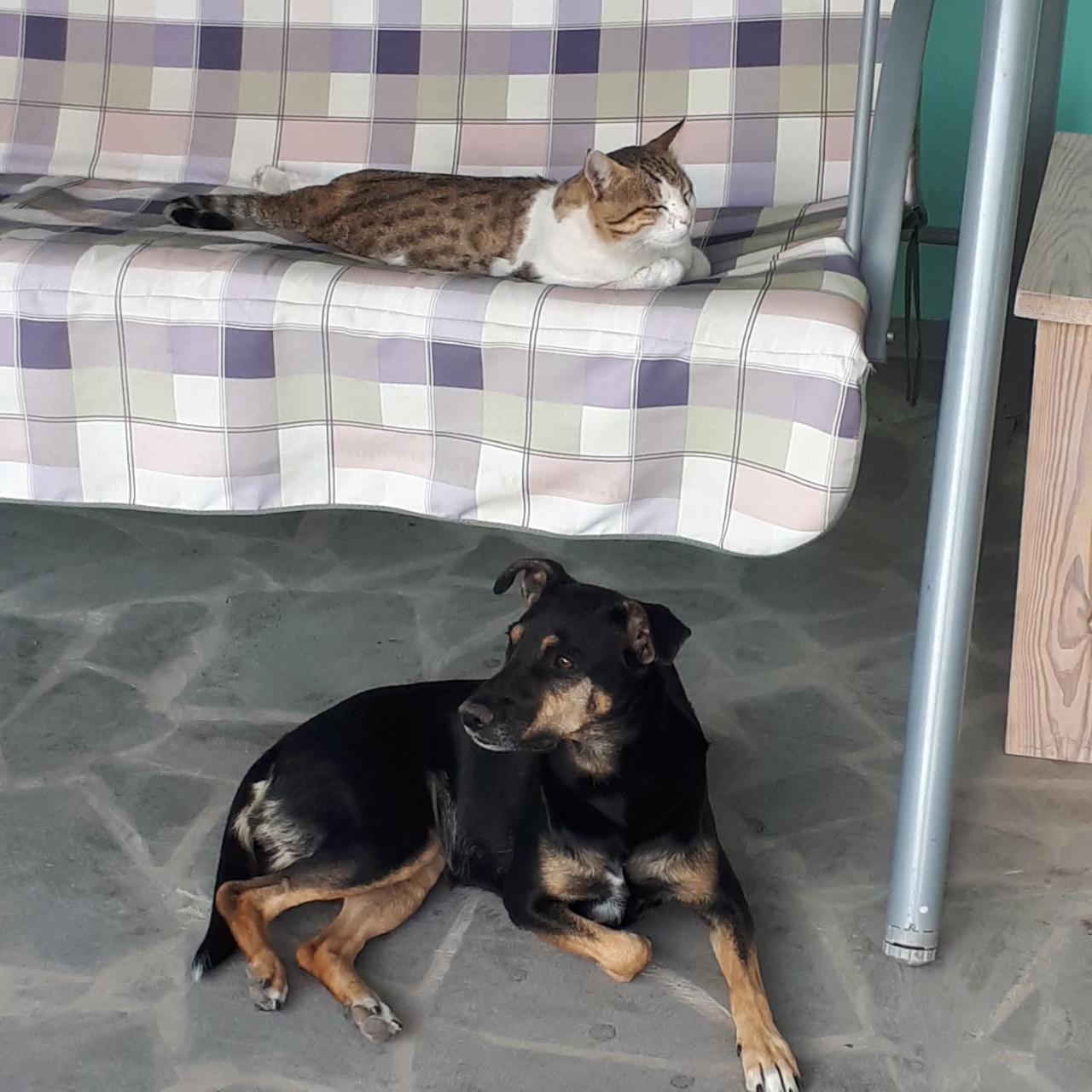 Bed & Breakfast 3 Gs Goght' Bagian luar foto